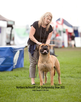 NBC Champ Show August 2021